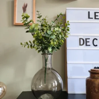 Vase rond en verre fumé avec bouquet d’eucalyptus – décoration minimaliste